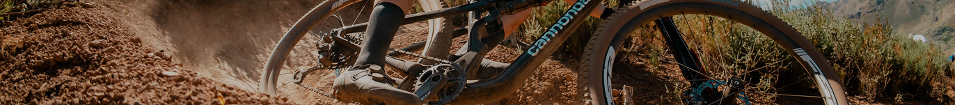 Bicycle Servicing